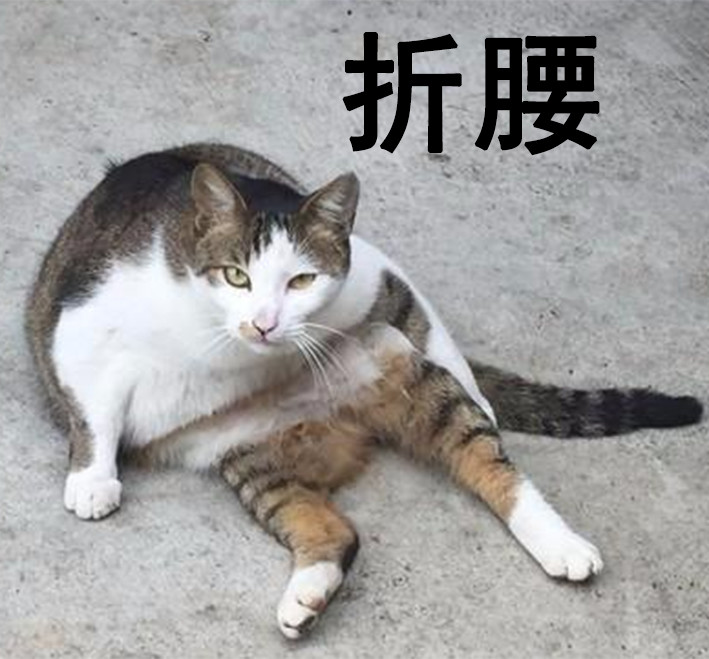 怎么现在往回看一下 又觉得,是波比的腰断了?