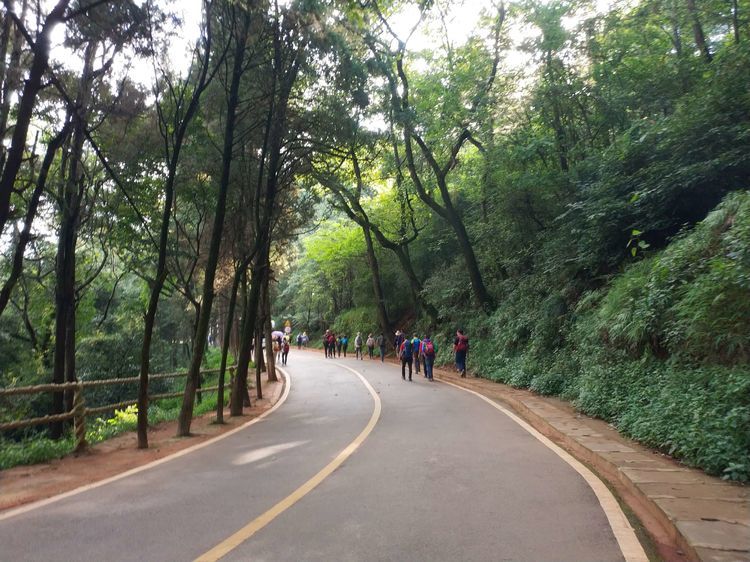 地处昆明城区西部,滇池西岸西山又名碧鸡山,依托着峰峦起伏,林木苍翠