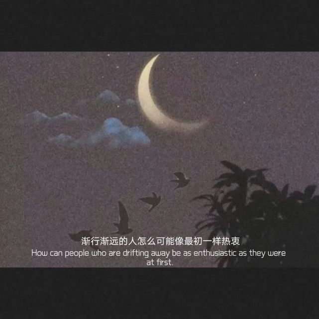 配自己照片用的优质文案