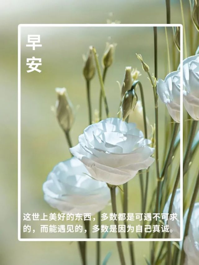 早安心语图片大全 早安励志图片大全