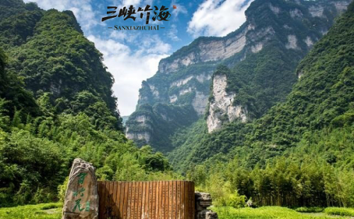 湖北秭归:三峡竹海景区推出教师节特别活动