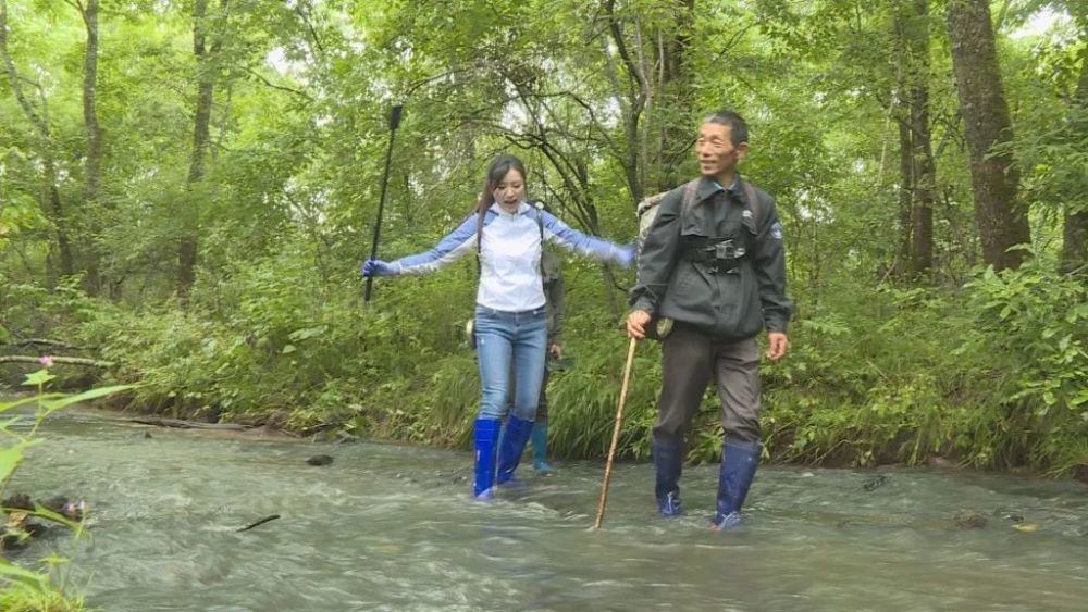 东方红林区神秘"跑山人 今晚九点二十播出