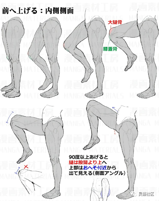 绘画素材各角度的人物大腿绘画参考啊大长腿真是太爱啦