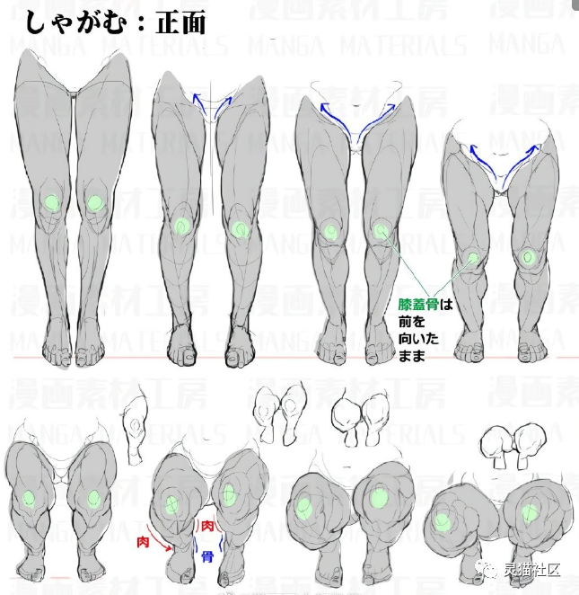 绘画素材各角度的人物大腿绘画参考啊大长腿真是太爱啦