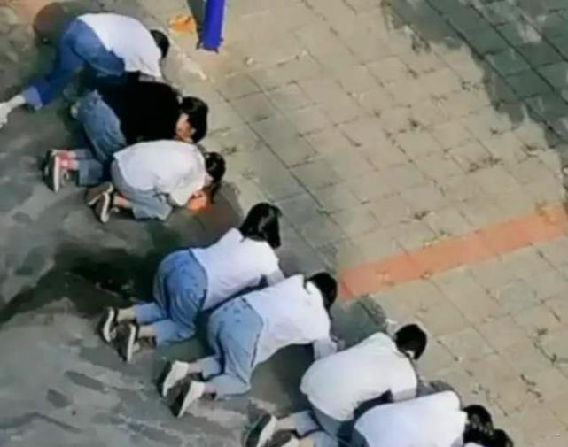 "女生被教官惩罚做俯卧撑,网友评论尽显司机风采,哈哈