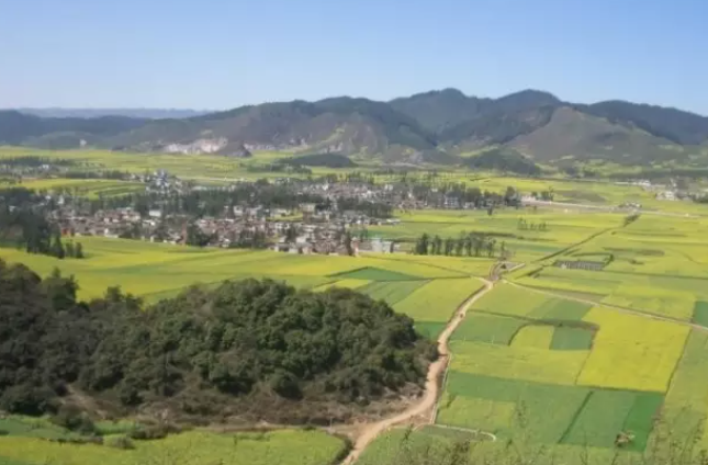 第87位:砚山县平远镇