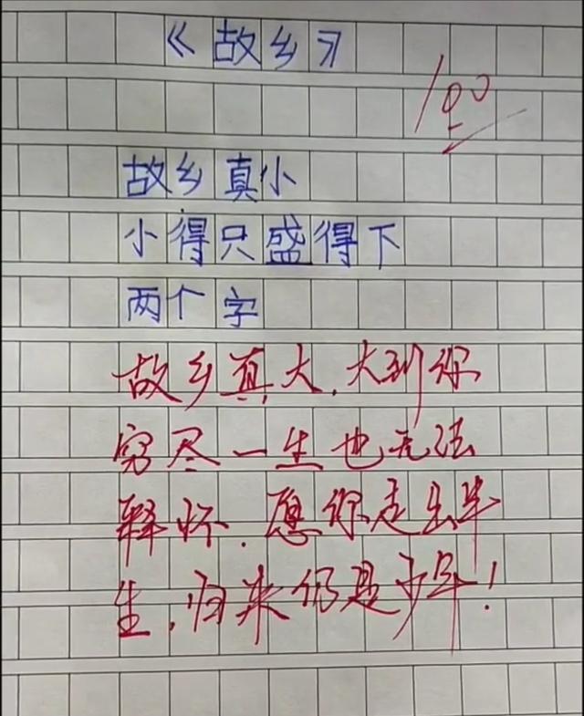 小学生作文《故乡》火了,短短3行不过20字,网友感动却