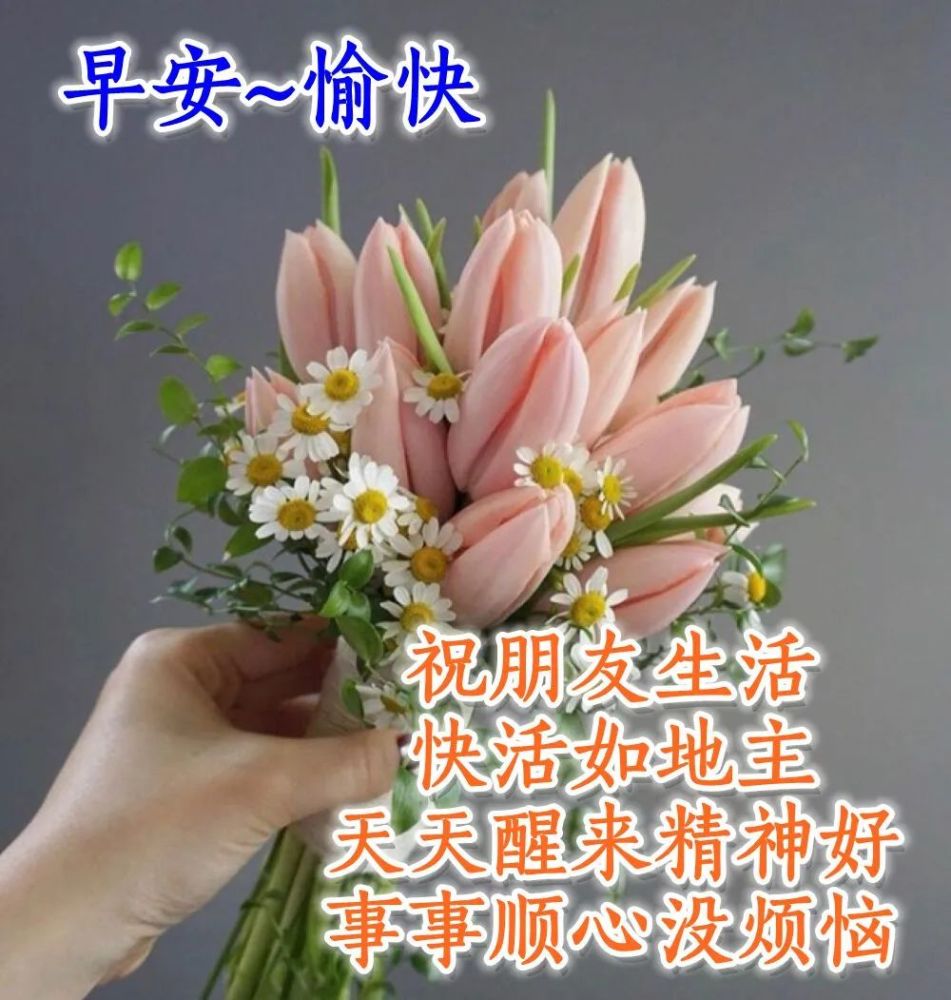 发朋友圈的早安心语说说 每日早上好祝福图片分享!
