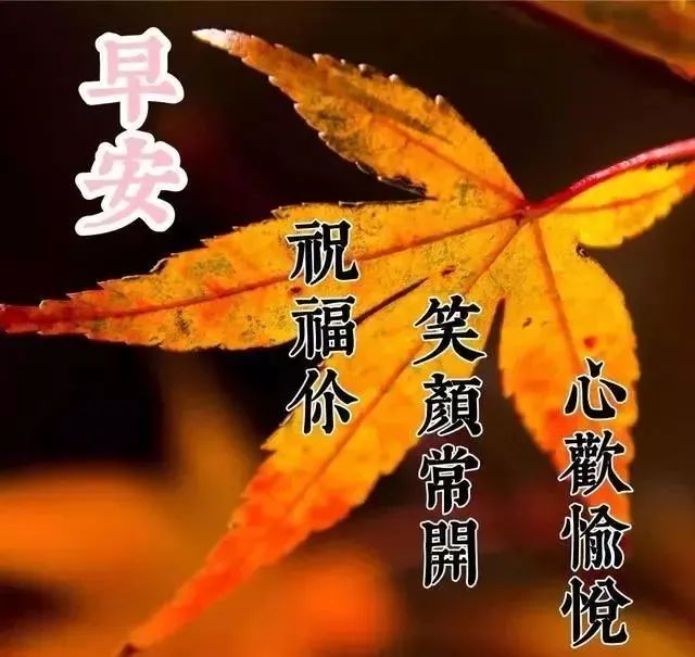 2021年12月2日清晨早上好问候祝福动态表情图片最新早安问候祝福图片