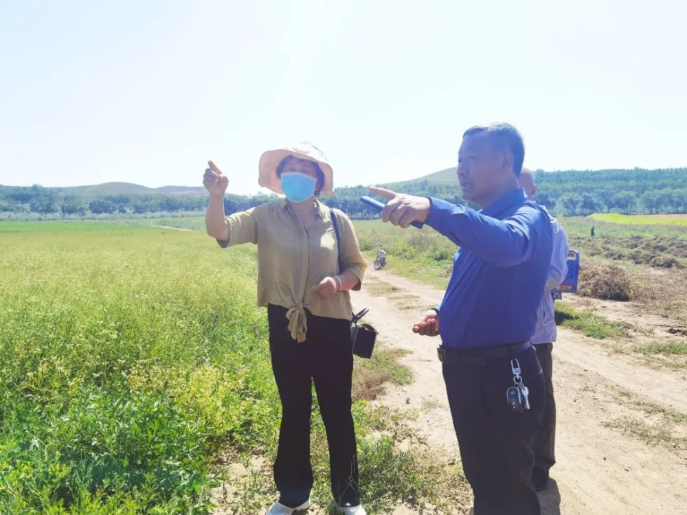 他叫王文成,太仆寺旗宝昌镇边墙村党支部书记,村委会主任,今年,他入围