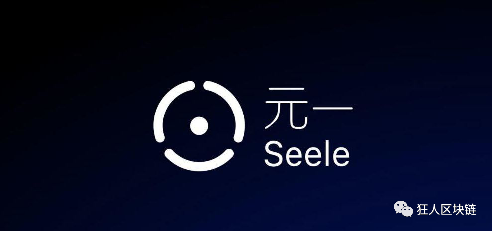 seele 元一币,你亏损了多少?