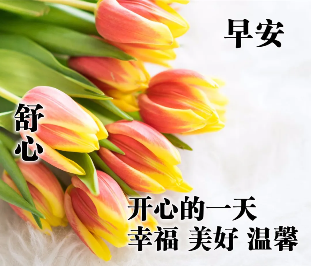 微信最珍贵的早安问候祝福优美句子 早上好祝福语说说