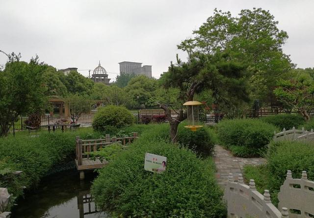 玉山经济总量多少_经济