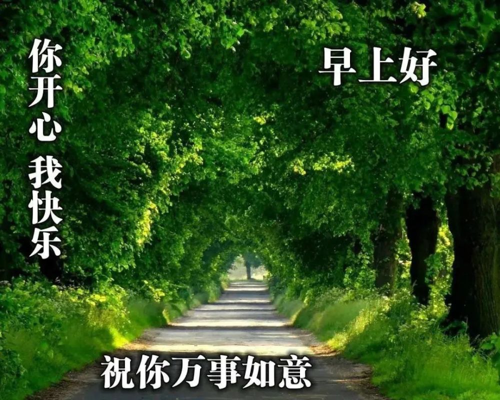 中老年表情包,聊天动态带字图片早上好祝福,知足才能保持快乐,感恩
