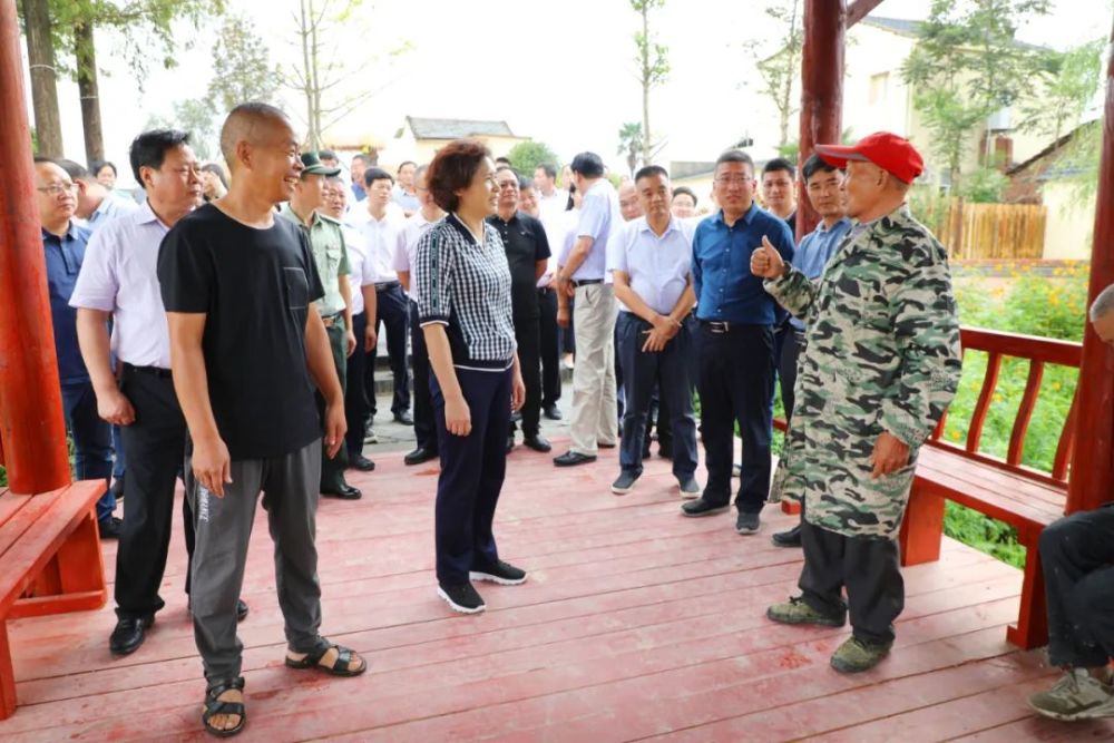 市委书记现场点评!仙桃这些乡村迎来"考试"