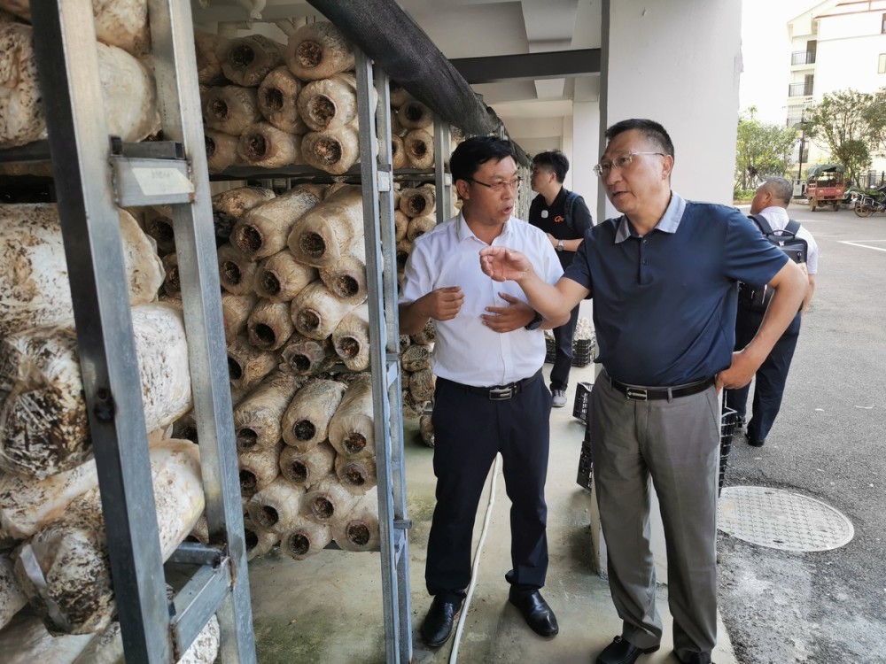 市台办负责人许义平说,下步,宁波市台办将按照"走进去,领出来"的助力