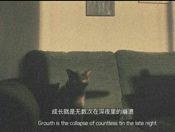 "一些丧文案"