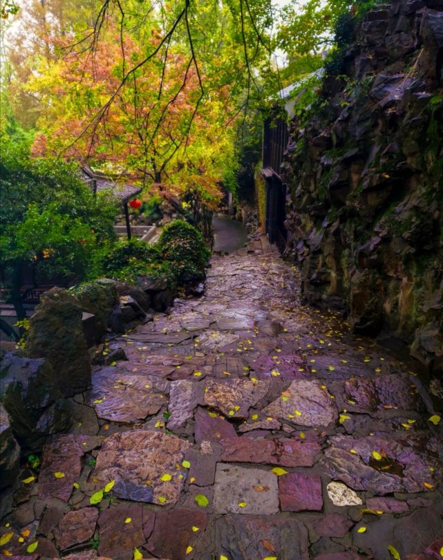 秋风秋雨秋渐凉,秋叶秋水秋意浓,秋天美景,摄影,美图