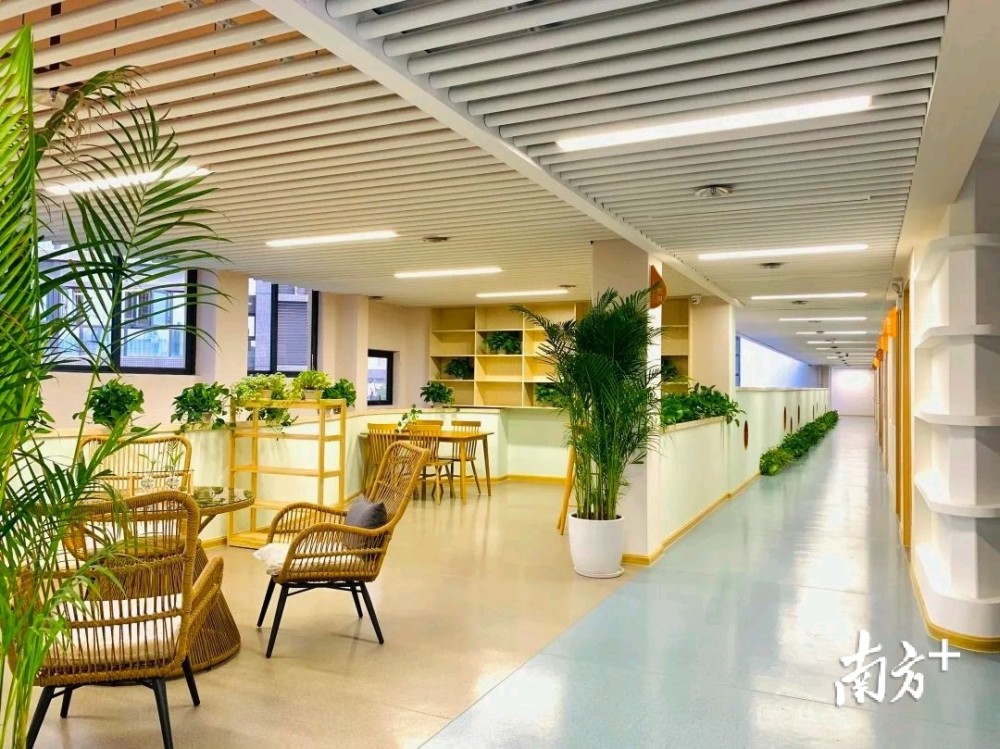 龙华区教科院附属学校珑门名苑幼儿园(小标)