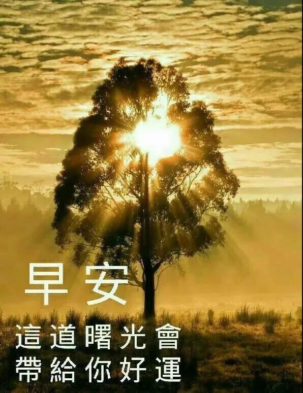 早上好风景图片带字带祝福语,秋天早安问候关心话语