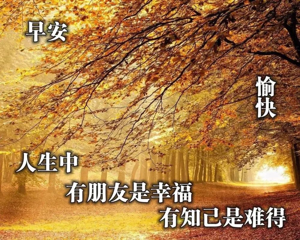 早上好风景图片带字带祝福语,秋天早安问候关心话语