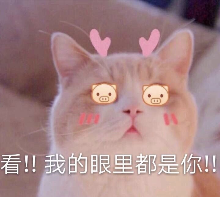 用来哄男朋友的可爱表情包,小仙女们快来领去吧!