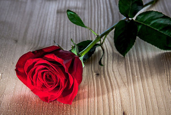 心理学测试:哪一朵玫瑰最漂亮?测出你目前的生活状态是怎样的?