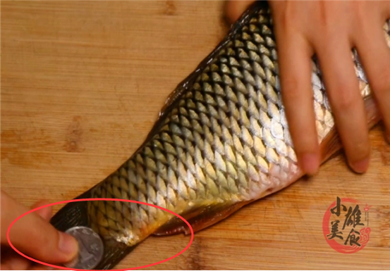 才知道,原来刮鱼鳞只需一个"硬币",鱼鳞又快又干净,不
