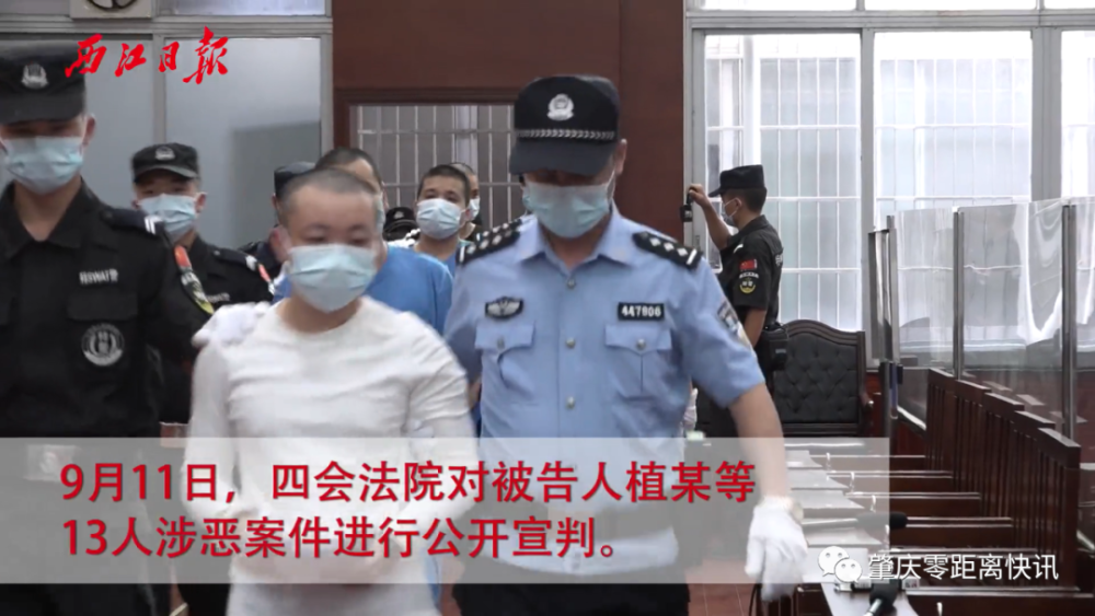 2020年9月11日,肇庆四会法院对被告人植某等13人涉恶案件进行公开