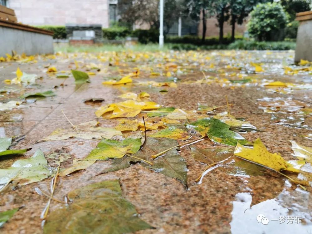 一梦芳菲把秋天养进深闺