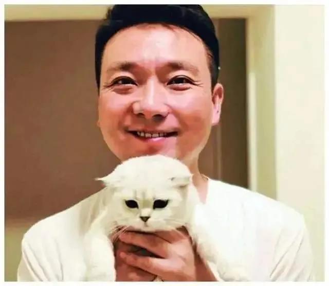 康辉与妻子20多年丁克婚姻,把猫当孩子养,惹人羡慕的神仙爱情
