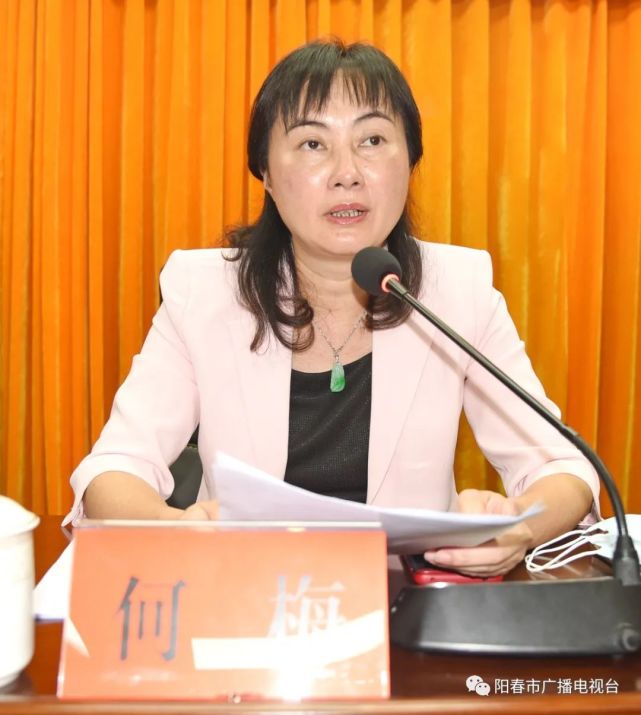 阳春市部署城乡居民社会养老保险工作