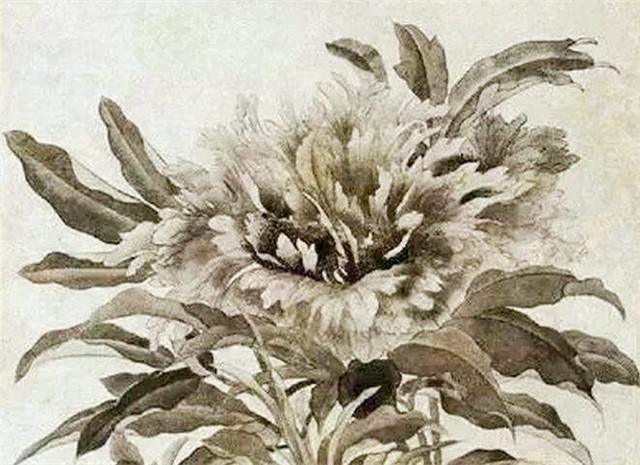 (明 唐寅《题牡丹图》花鸟画立轴)