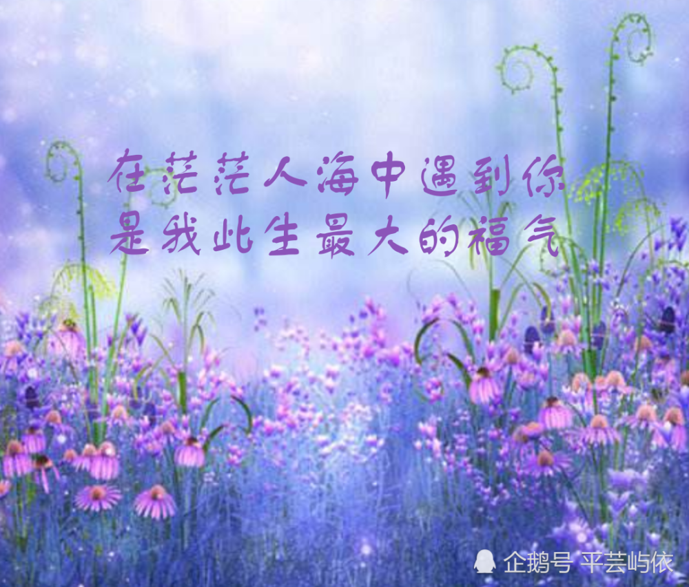 长长久久才是爱,简简单单才是真,平平淡淡才是福