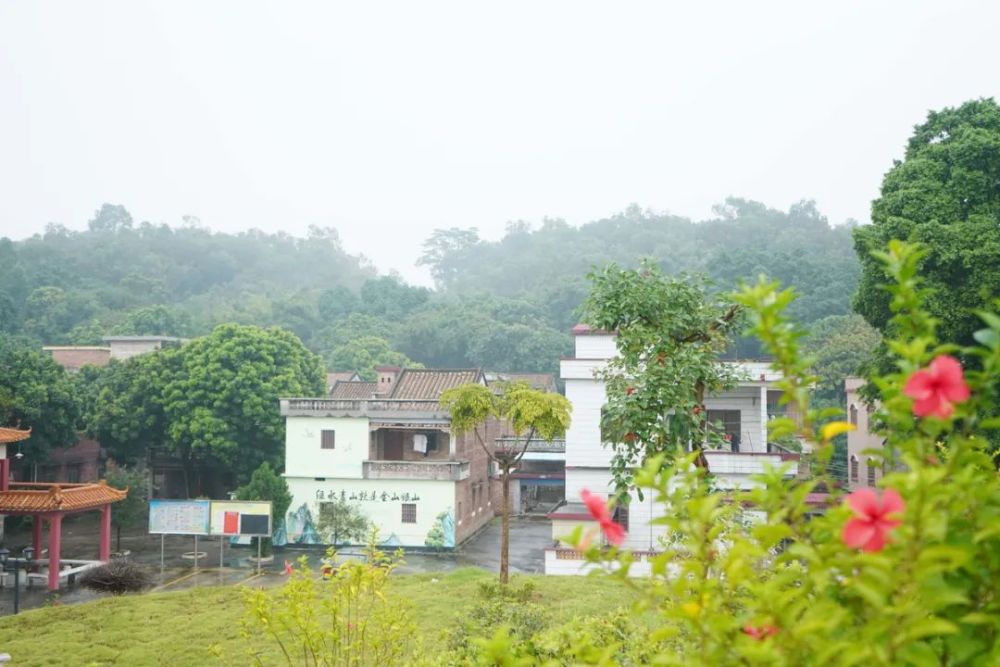 三水白坭下灶村逆袭路问题村变身明星村