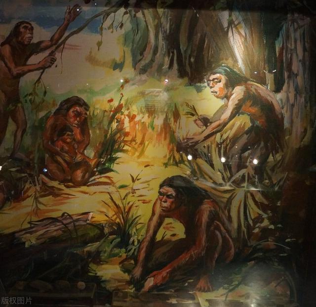 经过一系列的研究之后, 考古专家发现这种原始人类, 和南方古猿很