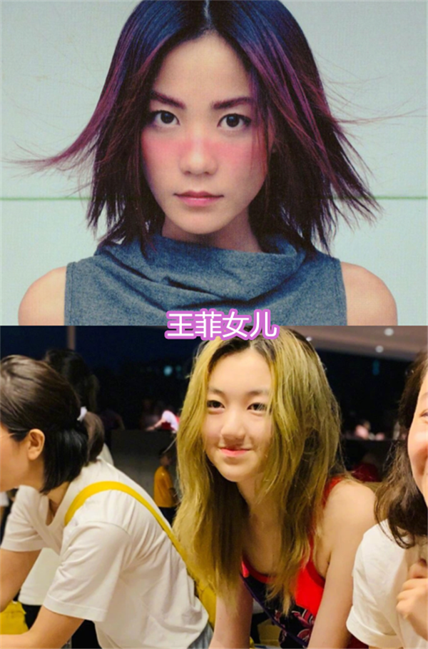 王菲的女儿成熟,洪欣的女儿可爱,看到邱淑贞女儿:不当