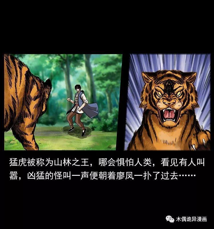 黑狐计划周密找到深涧仙洞夺宝,不料被守洞之虎发现,廖凤一战老虎