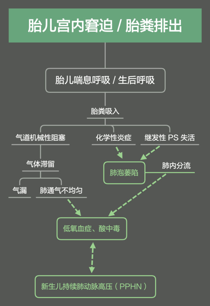 胎粪吸入综合征(meconium aspiration syndrome mas:是指胎儿在宫内