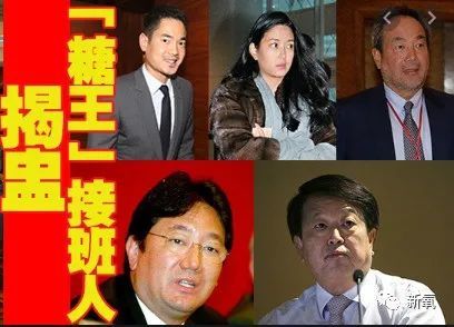 头顶2000亿家产撞脸杨采钰，小说都不敢这么写