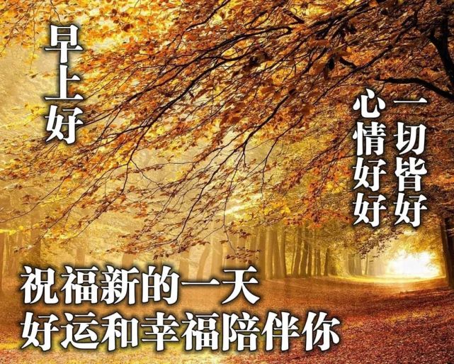 最新温馨的秋天枫叶早上好图片祝福语 早安问候语精选