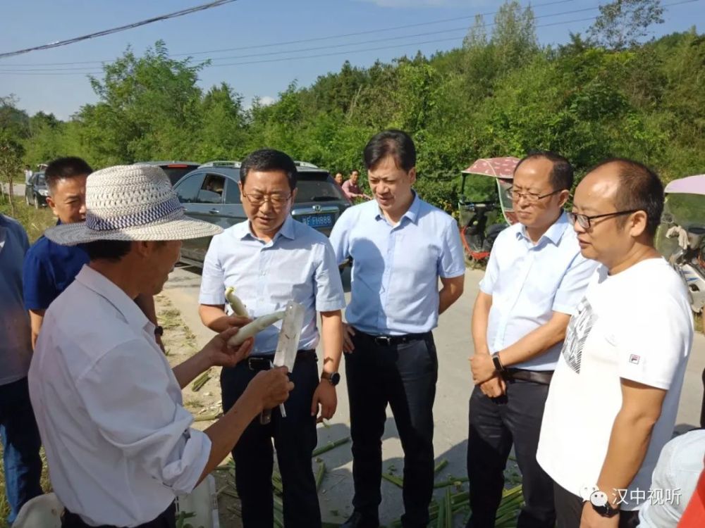 近日 黄垭村党支部书记马宏明在天明镇茭白种植现场观摩会上向前来