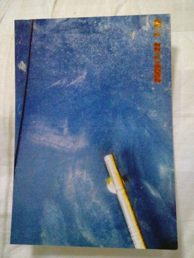 支书城管儿子夜闯人家遭“反杀，两人死缓