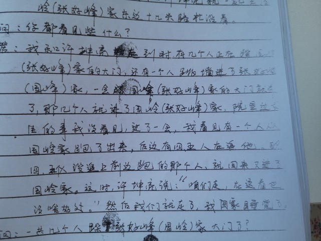 支书城管儿子夜闯人家遭“反杀，两人死缓