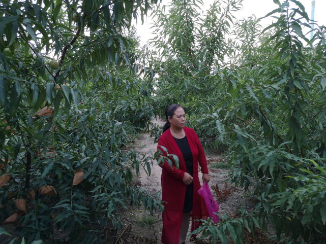 支书城管儿子夜闯人家遭“反杀，两人死缓