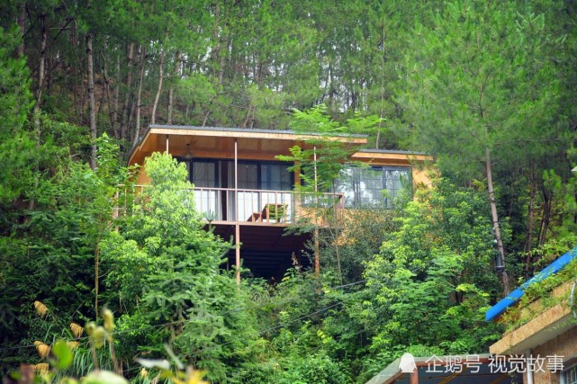 村民在树林中做别墅,房子建"悬空",自称世外桃源
