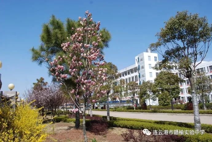 赣榆实验中学将新建教学综合楼为5000余学生改善教学条件