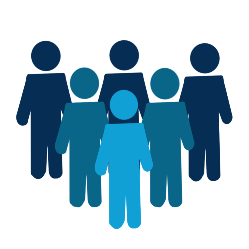 人口普查正式启动_人口普查(3)