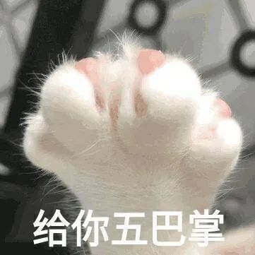 微信可爱聊天表情包|马上舔我