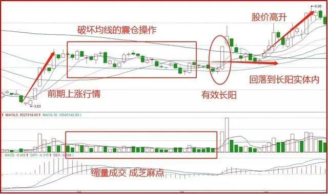 "池底巨龙"形态特征